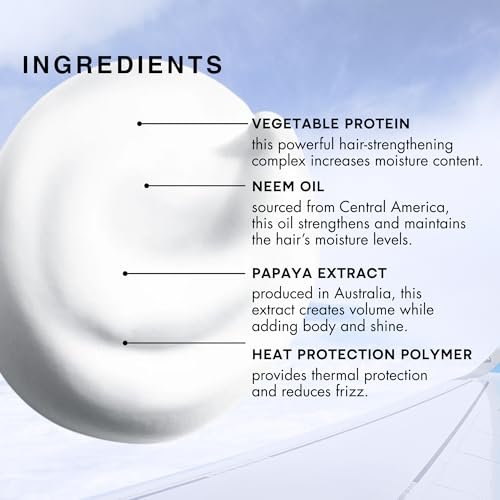 R+Co Aircraft Pomade Mousse – Lightweight Non-Sticky Styling Foam for Texture, Volume & Definition – Anti-Frizz Heat Protectant – Vegan & Paraben-Free – 5.6 oz Avelisse