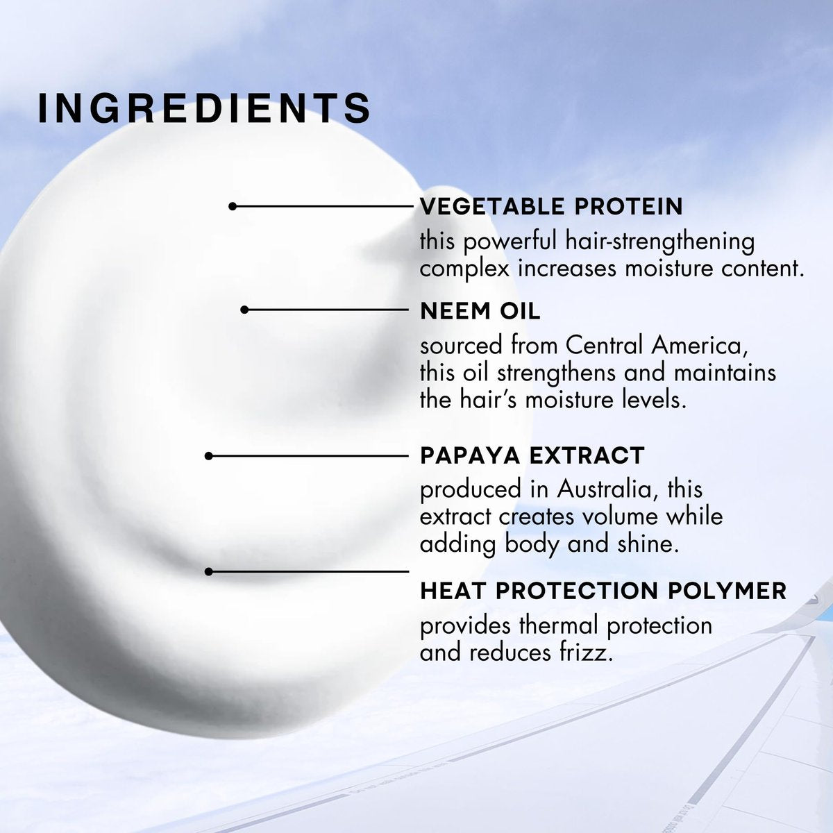 R+Co Aircraft Pomade Mousse – Lightweight Non-Sticky Styling Foam for Texture, Volume & Definition – Anti-Frizz Heat Protectant – Vegan & Paraben-Free – 5.6 oz Avelisse
