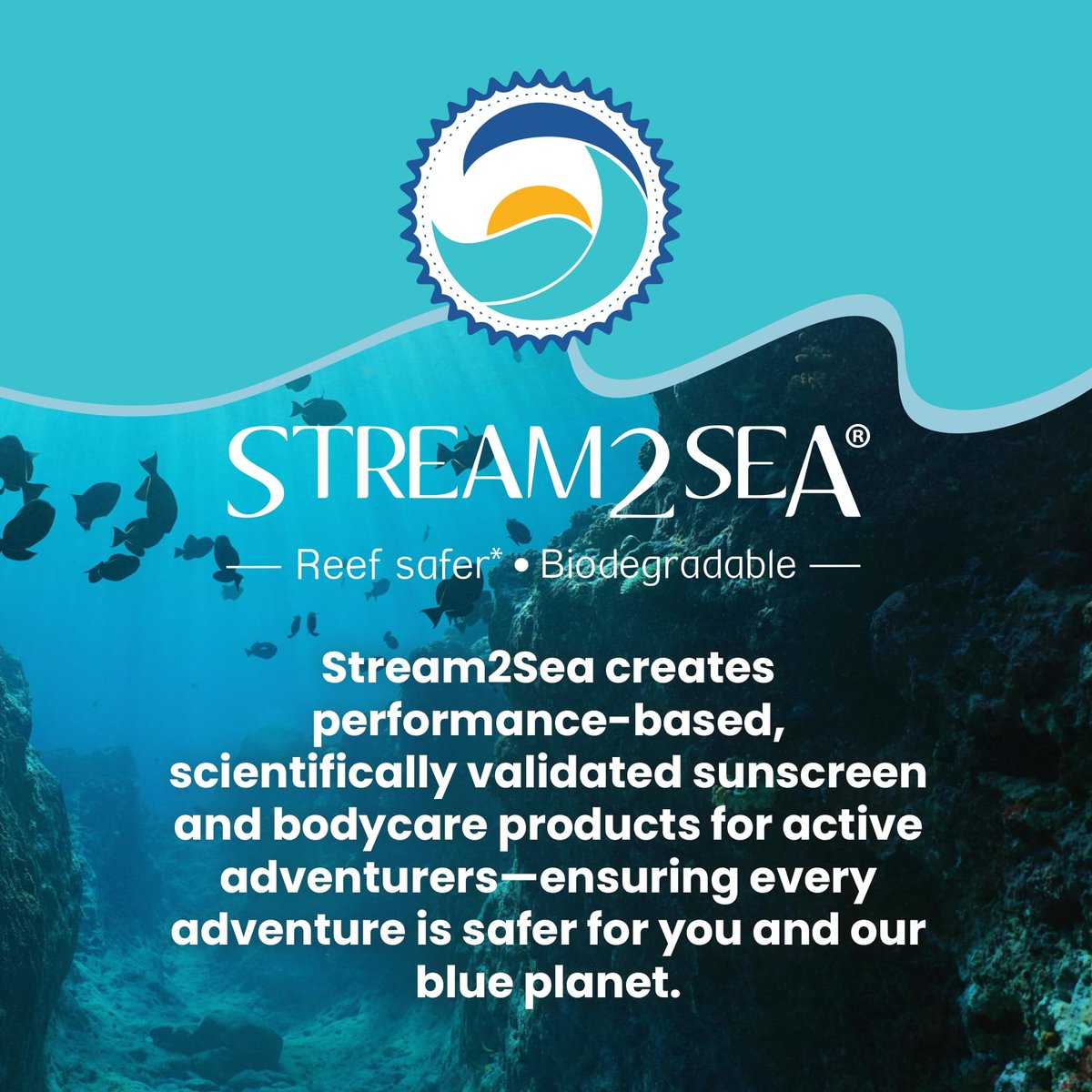 Stream2Sea Leave-In Hair Conditioner – Detangling & Moisturizing, Reef Safe, UV Protection, Sulfate & Paraben Free - görsel 16