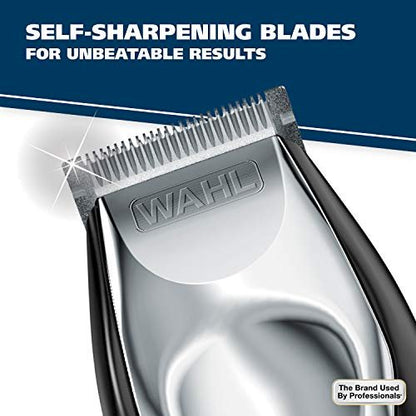 Wahl Lithium Ion Total Beard Trimmer for Men - Model 9888, 19 Piece Set, Stainless Steel Blades, Black/Silver Avelisse
