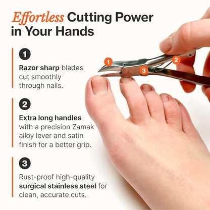 Fox Medical Equipment Toenail Clippers for Thick Nails – Medical Grade Stainless Steel Nail Nippers, Trusted by Podiatrists for Seniors, Men, and Women Avelisse