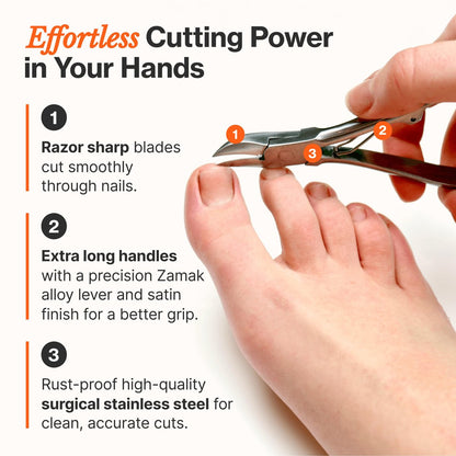 Fox Medical Equipment Toenail Clippers for Thick Nails – Medical Grade Stainless Steel Nail Nippers, Trusted by Podiatrists for Seniors, Men, and Women Avelisse