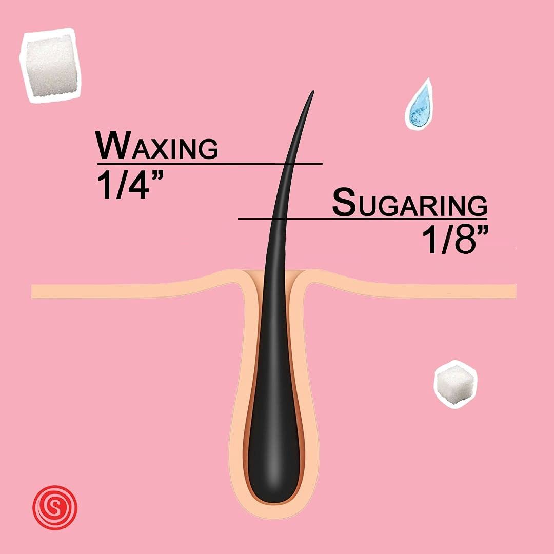 Sugaring Paste for Bikini, Legs, Brazilian, Arms and Back – 12oz by Sugaring NYC Avelisse