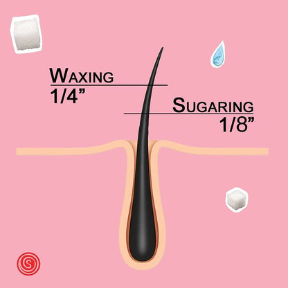 Sugaring Paste for Bikini, Legs, Brazilian, Arms and Back – 12oz by Sugaring NYC Avelisse
