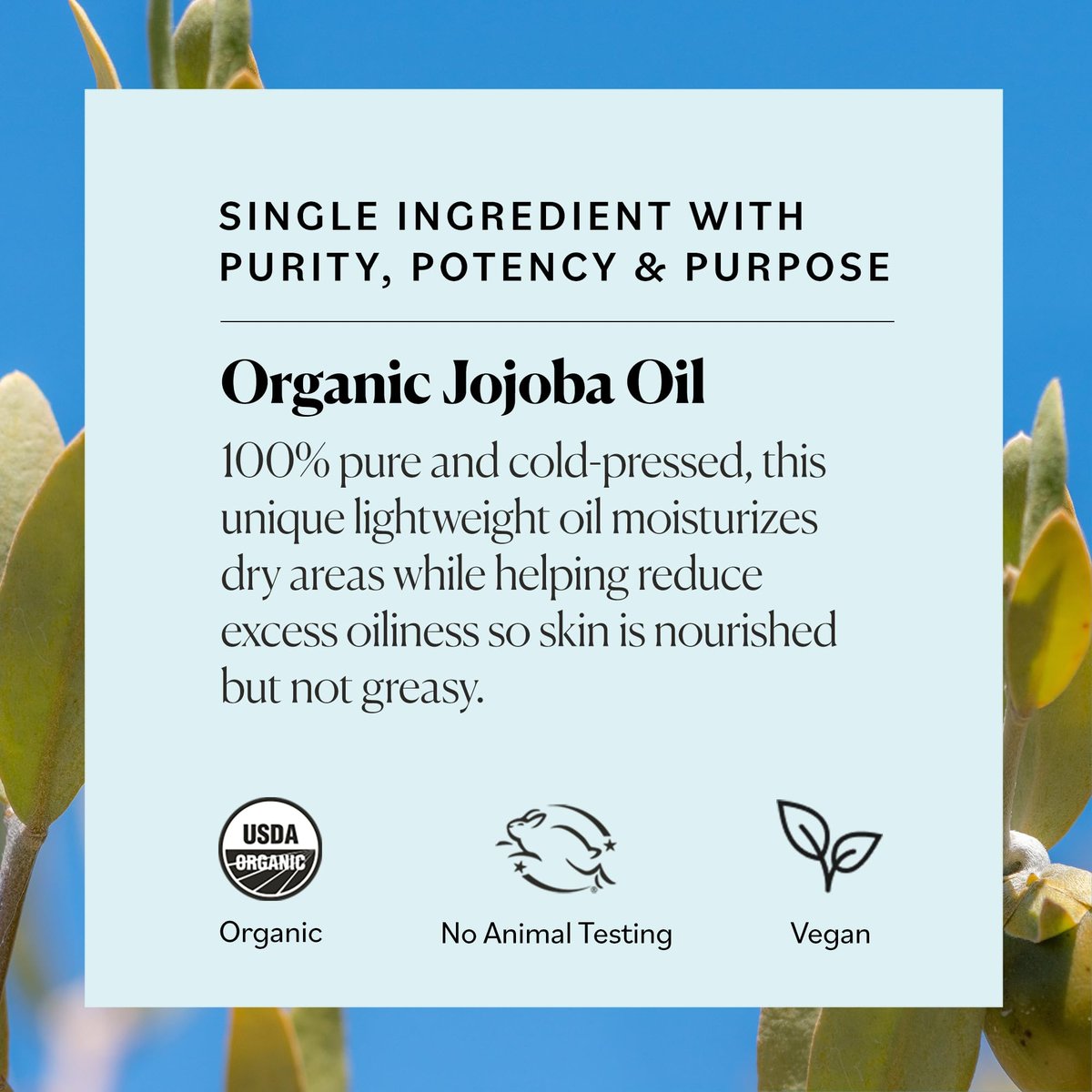 Sky Organics Organic Jojoba Oil, 100% Pure - Moisturizing for Face, Hair, Skin & Nails - Natural Cold Pressed Hexane Free - Base Carrier Oil, 4 Fl Oz Avelisse