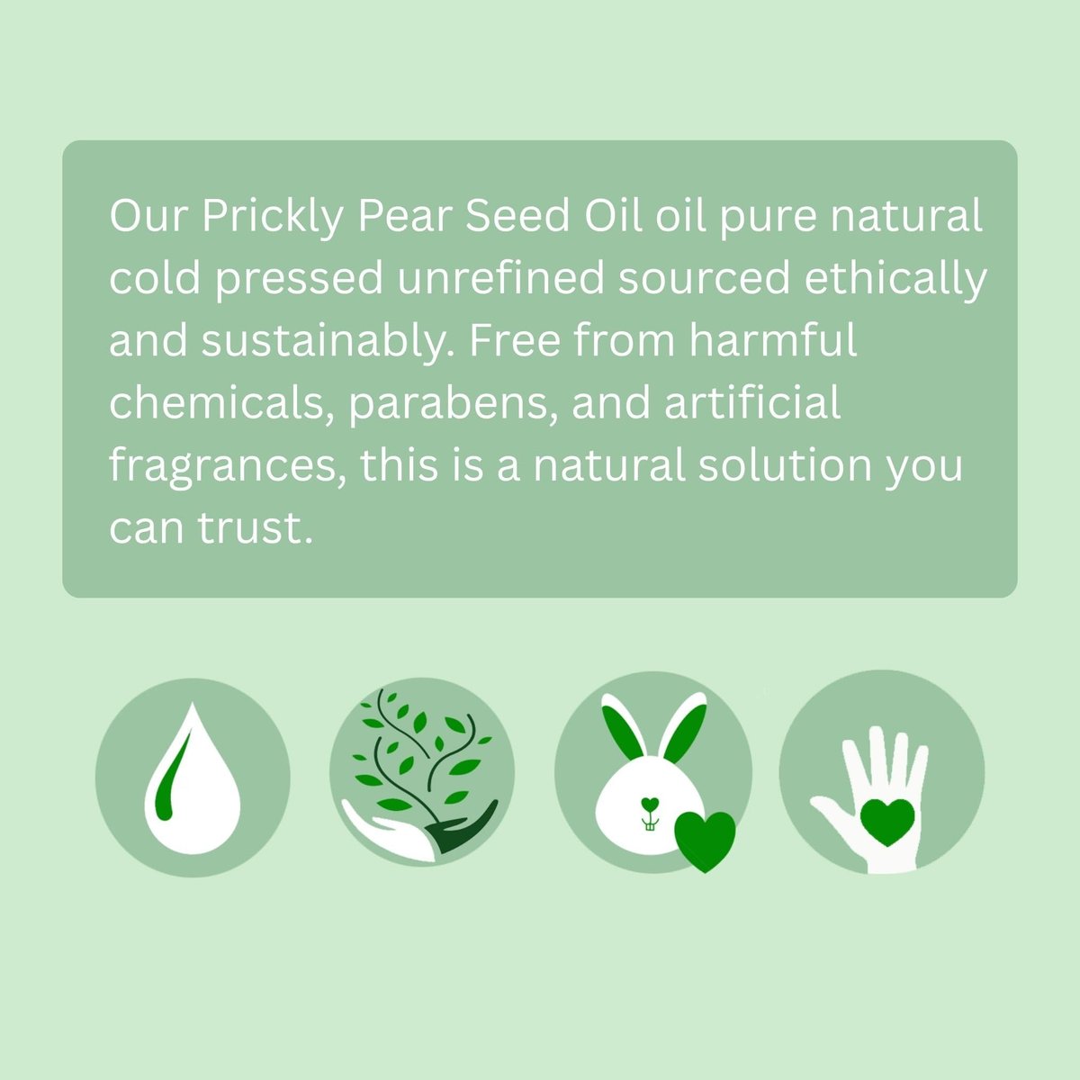 Organic Prickly Pear Seed Oil - Virgin Cold Pressed Unrefined, 1 oz (30 ml) for Hydrated & Glowing Mature Skin and Hair - görsel 17