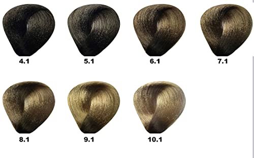 BES HI FI COLOR WITH VEGETABLES LIPOSOMES 3.5 OZ 100 ML / 6.1 DARK ASH BLOND - Permanent Hair Color - görsel 4