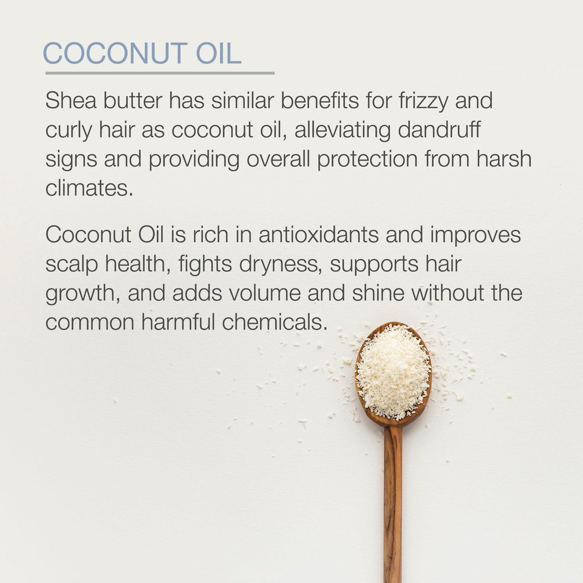 Pure Body Naturals Coconut Oil Hair Mask – Deep Conditioning Treatment for Dry, Damaged & Color Treated Hair – Sulfate Free Hair Conditioner – 8.8 Fl Oz Avelisse