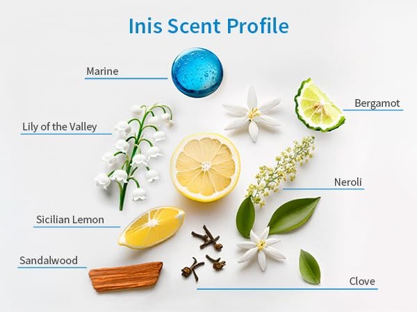 Inis the Energy of the Sea - Roll On Perfume for Women and Men, Unisex Pulse Point Eau de Parfum in a Travel Friendly Roller, Clean Ocean Fresh Aquatic Fragrance, 0.27 fl oz Avelisse