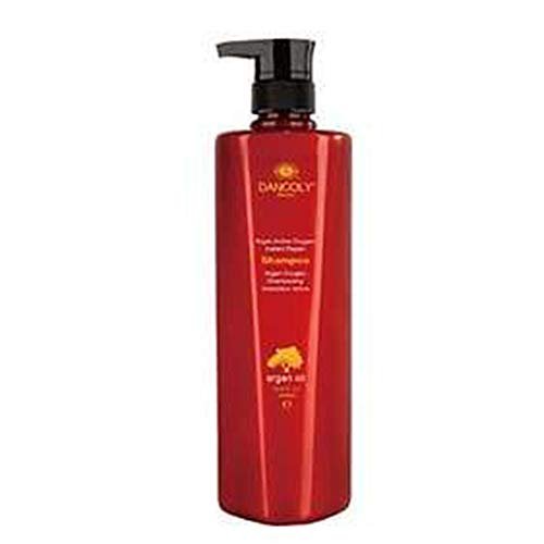 Dancoly Argan Active Oxygen Instant Repair Argan Oil Shampoo - 10 oz | Sulfate-Free & Moisturizing - görsel 2
