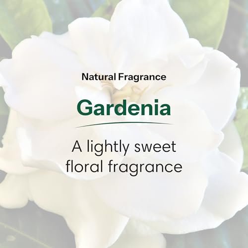 ShiKai Daily Moisturizing Shower Gel - Gardenia, 12 oz (Pack of 2) - Gentle Formula with Aloe Vera & Oatmeal for Soft, Healthy Skin - Dry Skin Relief Avelisse