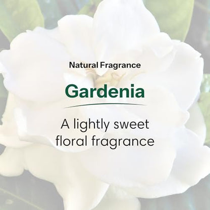 ShiKai Daily Moisturizing Shower Gel - Gardenia, 12 oz (Pack of 2) - Gentle Formula with Aloe Vera & Oatmeal for Soft, Healthy Skin - Dry Skin Relief Avelisse