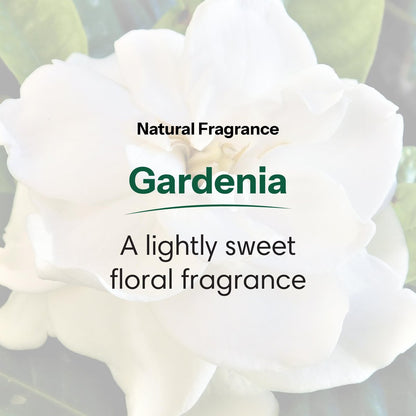 ShiKai Daily Moisturizing Shower Gel - Gardenia, 12 oz (Pack of 2) - Gentle Formula with Aloe Vera & Oatmeal for Soft, Healthy Skin - Dry Skin Relief Avelisse