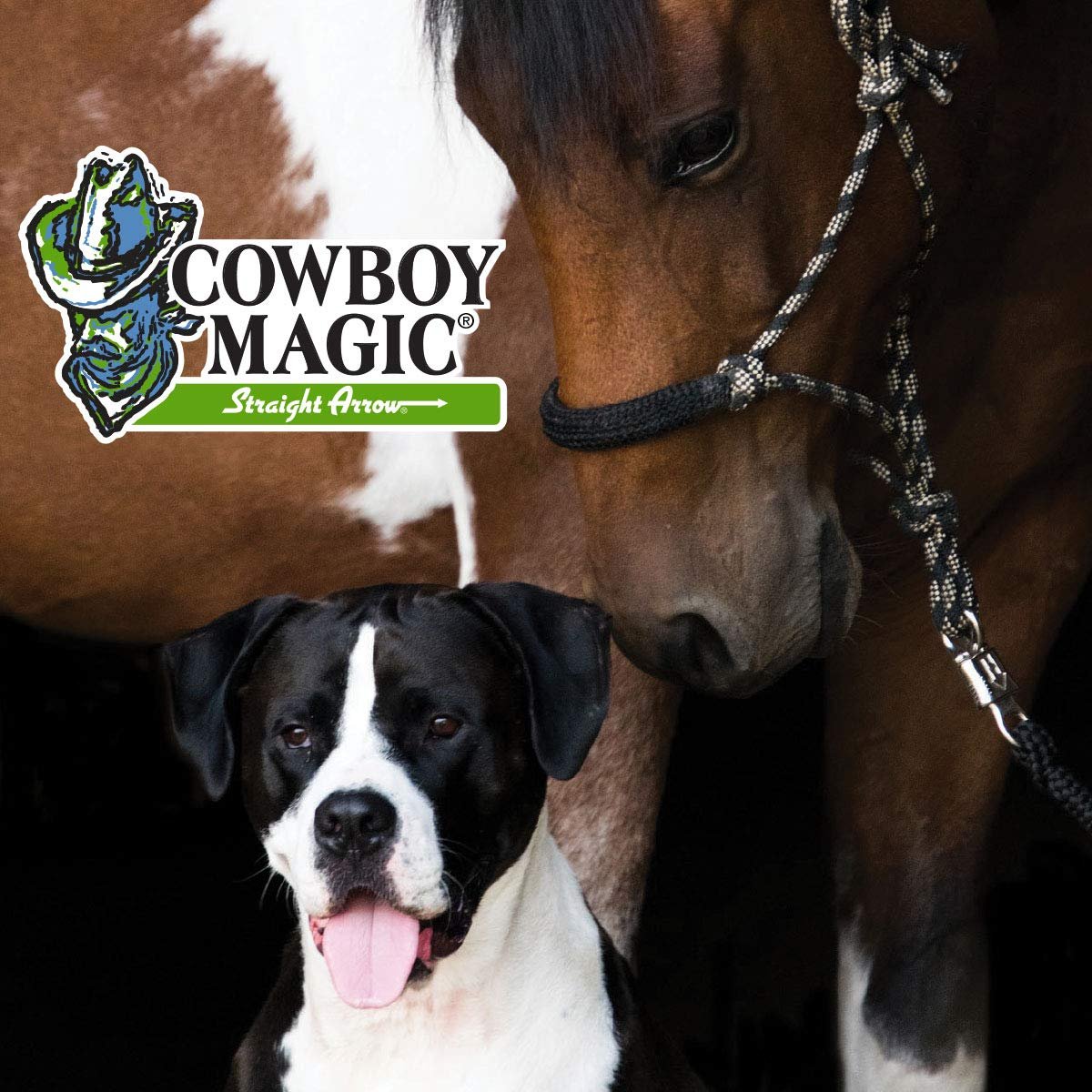 Cowboy Magic Greenspot + Super Body Shine 16 oz Each with Detangler & Shine 4 oz - görsel 7