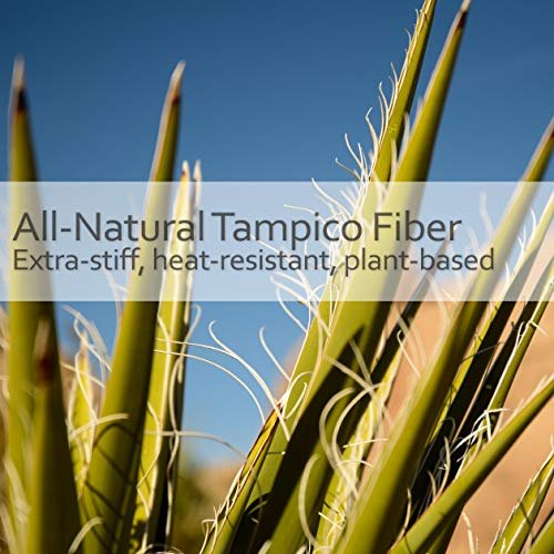 Redecker Tampico Fiber Hairbrush – Natural Bristle Vegan Hair Brush with Oiled Beechwood Handle, 8 Inches Avelisse