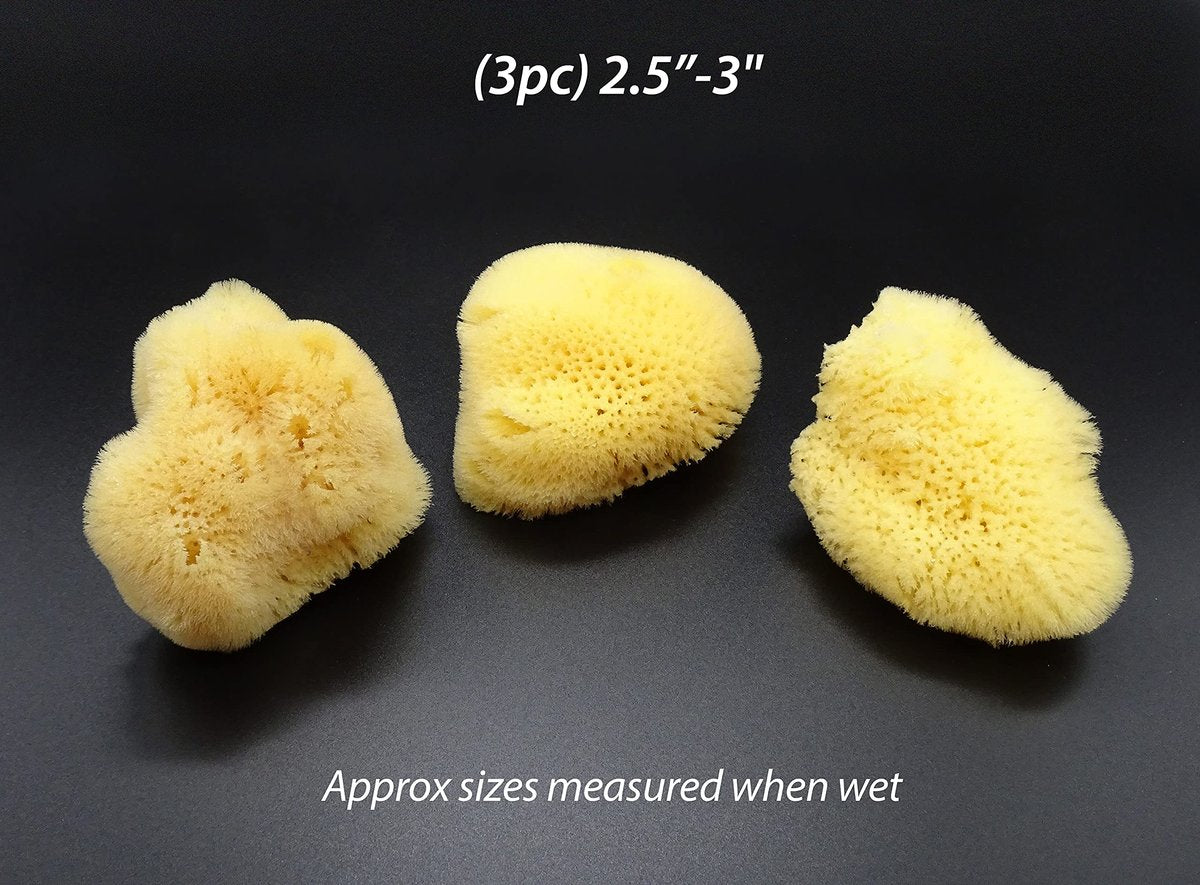 Constantia Beauty Natural Sea Silk Sponges - 12 Pack Reusable Cosmetic Sponges for Makeup Application, Blending & Removal, Face & Eye Cleaning, Yellow Avelisse