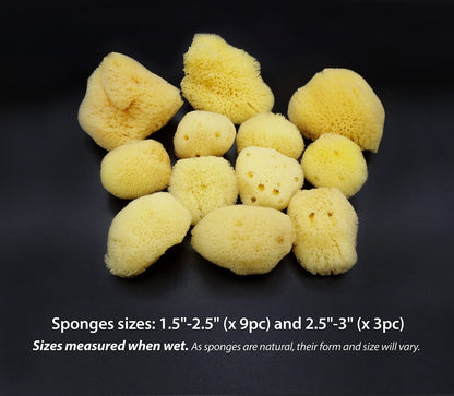 Constantia Beauty Natural Sea Silk Sponges - 12 Pack Reusable Cosmetic Sponges for Makeup Application, Blending & Removal, Face & Eye Cleaning, Yellow Avelisse