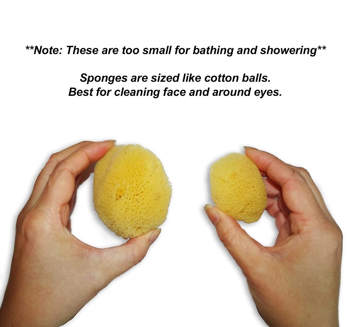 Constantia Beauty Natural Sea Silk Sponges - 12 Pack Reusable Cosmetic Sponges for Makeup Application, Blending & Removal, Face & Eye Cleaning, Yellow Avelisse