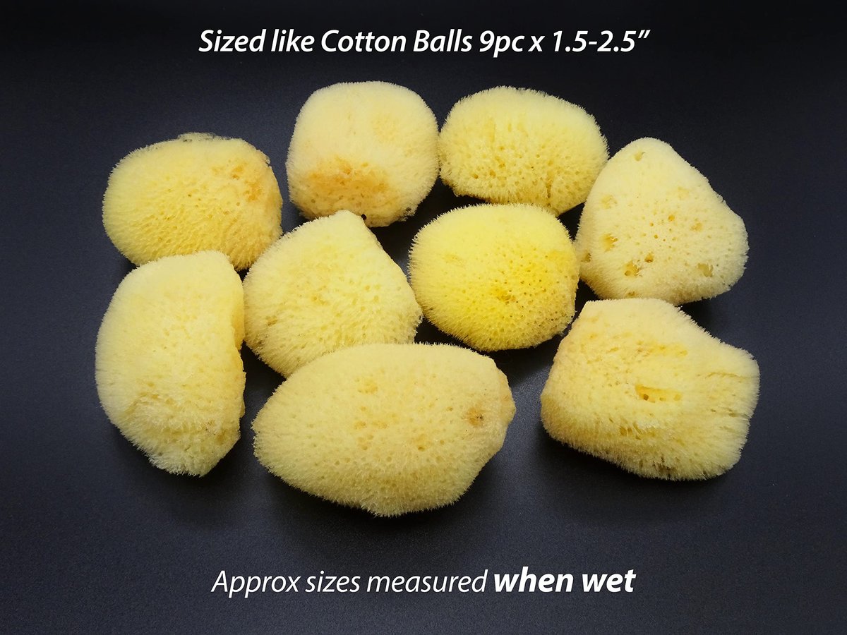 Constantia Beauty Natural Sea Silk Sponges - 12 Pack Reusable Cosmetic Sponges for Makeup Application, Blending & Removal, Face & Eye Cleaning, Yellow Avelisse