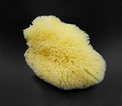 Constantia Beauty Natural Sea Silk Sponges - 12 Pack Reusable Cosmetic Sponges for Makeup Application, Blending & Removal, Face & Eye Cleaning, Yellow Avelisse