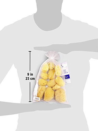 Constantia Beauty Natural Sea Silk Sponges - 12 Pack Reusable Cosmetic Sponges for Makeup Application, Blending & Removal, Face & Eye Cleaning, Yellow Avelisse