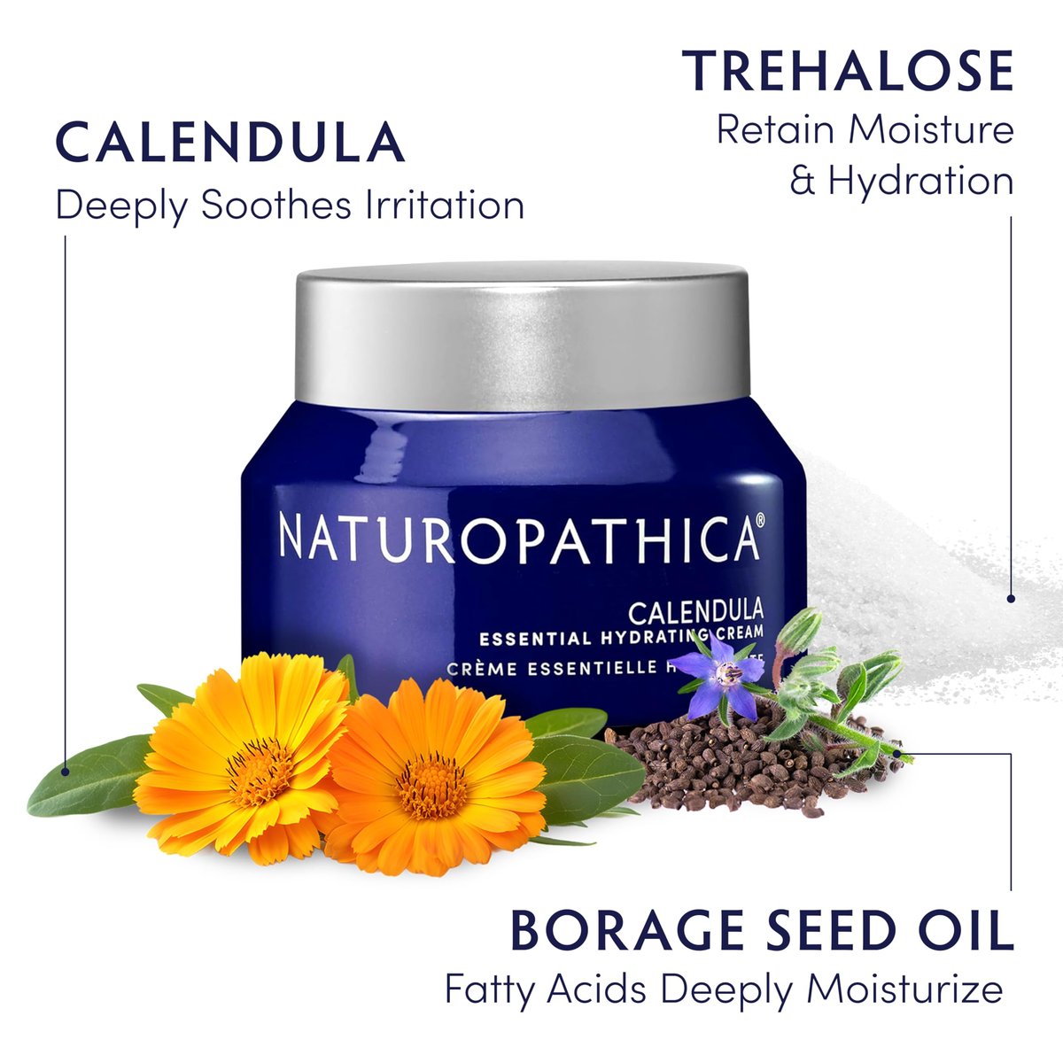 Naturopathica Calendula Essential Hydrating Cream - Soothing Face Moisturizer for Dry and Sensitive Skin, 1.7 oz Avelisse