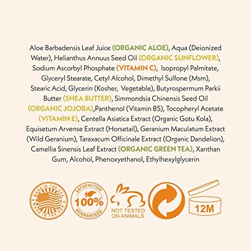Eve Hansen Vitamin C Face Moisturizer - Lightweight Hydrating Cream with Vitamin B, Green Tea, Jojoba Oil - Cruelty-Free & Natural Ingredients - 4 oz Avelisse