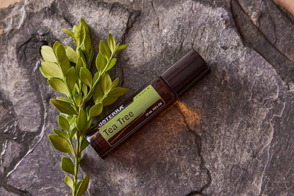 doTERRA Melaleuca (Tea Tree) Touch Essential Oil - 10 mL Roll-On Avelisse