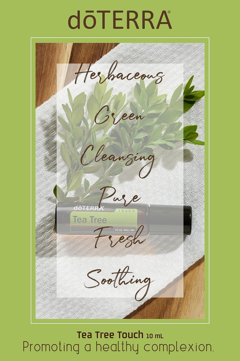doTERRA Melaleuca (Tea Tree) Touch Essential Oil - 10 mL Roll-On Avelisse
