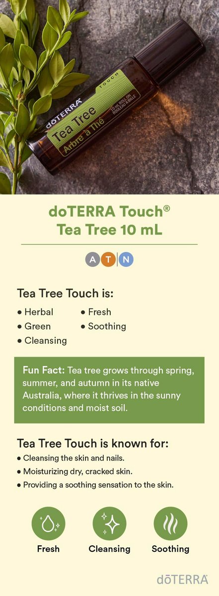 doTERRA Melaleuca (Tea Tree) Touch Essential Oil - 10 mL Roll-On Avelisse