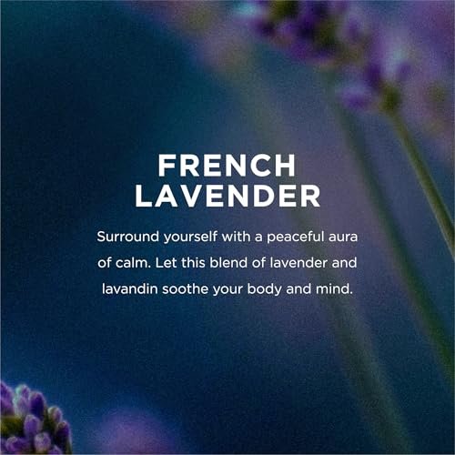 EO Deodorant Wipes, Travel Size, French Lavender - 6 Individually Wrapped Wipes (Pack of 12) - Essential Oil Deodorant for Men and Women Avelisse