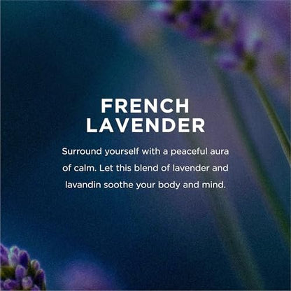EO Deodorant Wipes, Travel Size, French Lavender - 6 Individually Wrapped Wipes (Pack of 12) - Essential Oil Deodorant for Men and Women Avelisse