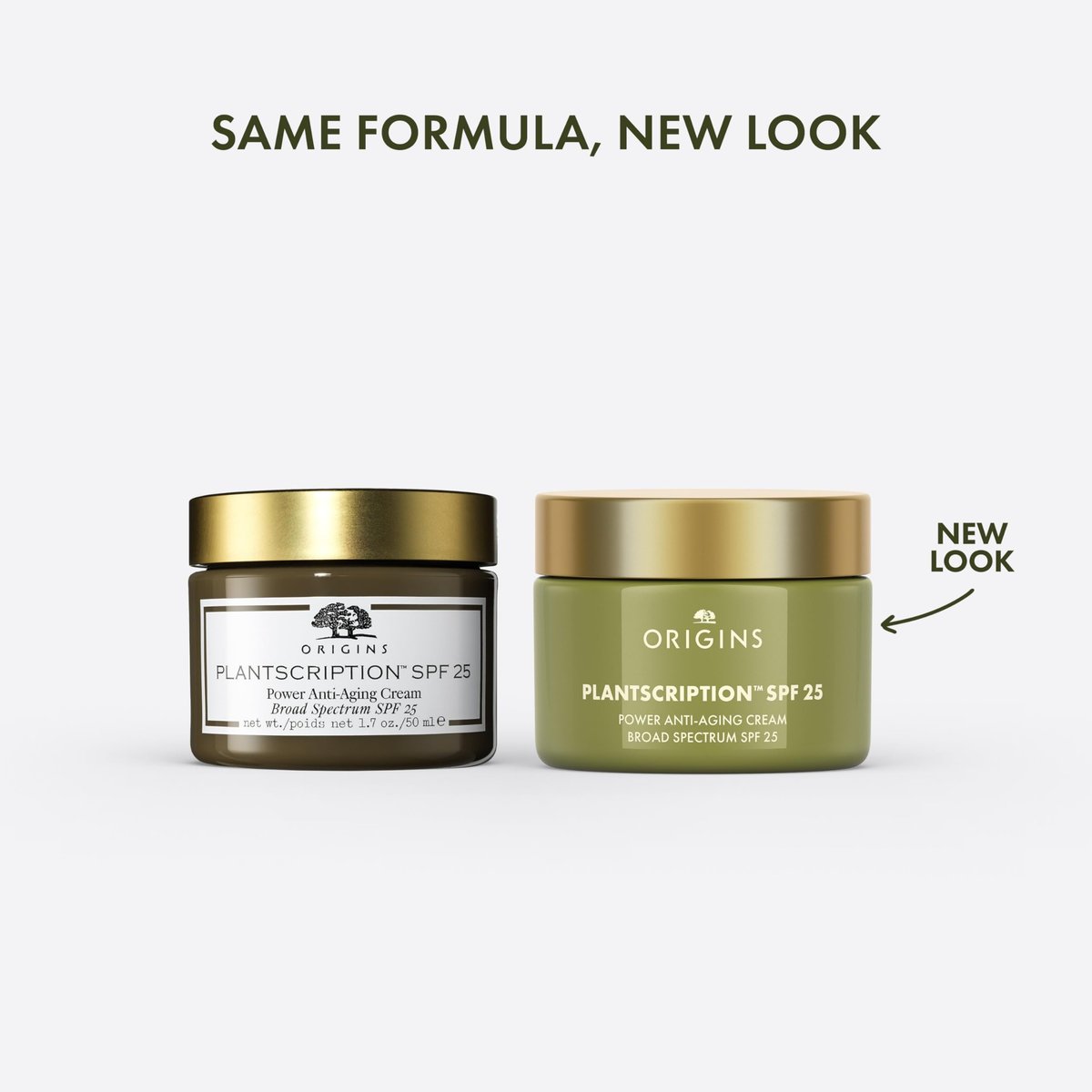 Origins Plantscription SPF 25 Power Anti-Aging Face Cream - Daily Moisturizer with Peptides & Hyaluronic Acid, 1.7 Fl Oz Avelisse