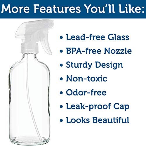 Sally's Organics Empty Clear Glass Spray Bottles - Refillable 16 oz with Mist & Stream Sprayer - 2 Pack Avelisse