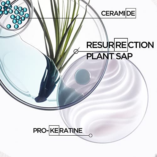 Kérastase Resistance Ciment Anti-Usure Treatment – Restorative Anti-Breakage Cream for Weak, Brittle, Damaged Hair, 6.8 Fl Oz Avelisse