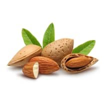 Natures Leaf USDA Certified Organic Sweet Almond Oil - 100% Pure, Cold Pressed, Unscented, 4 oz - Nourish & Soften Skin and Hair - görsel 7