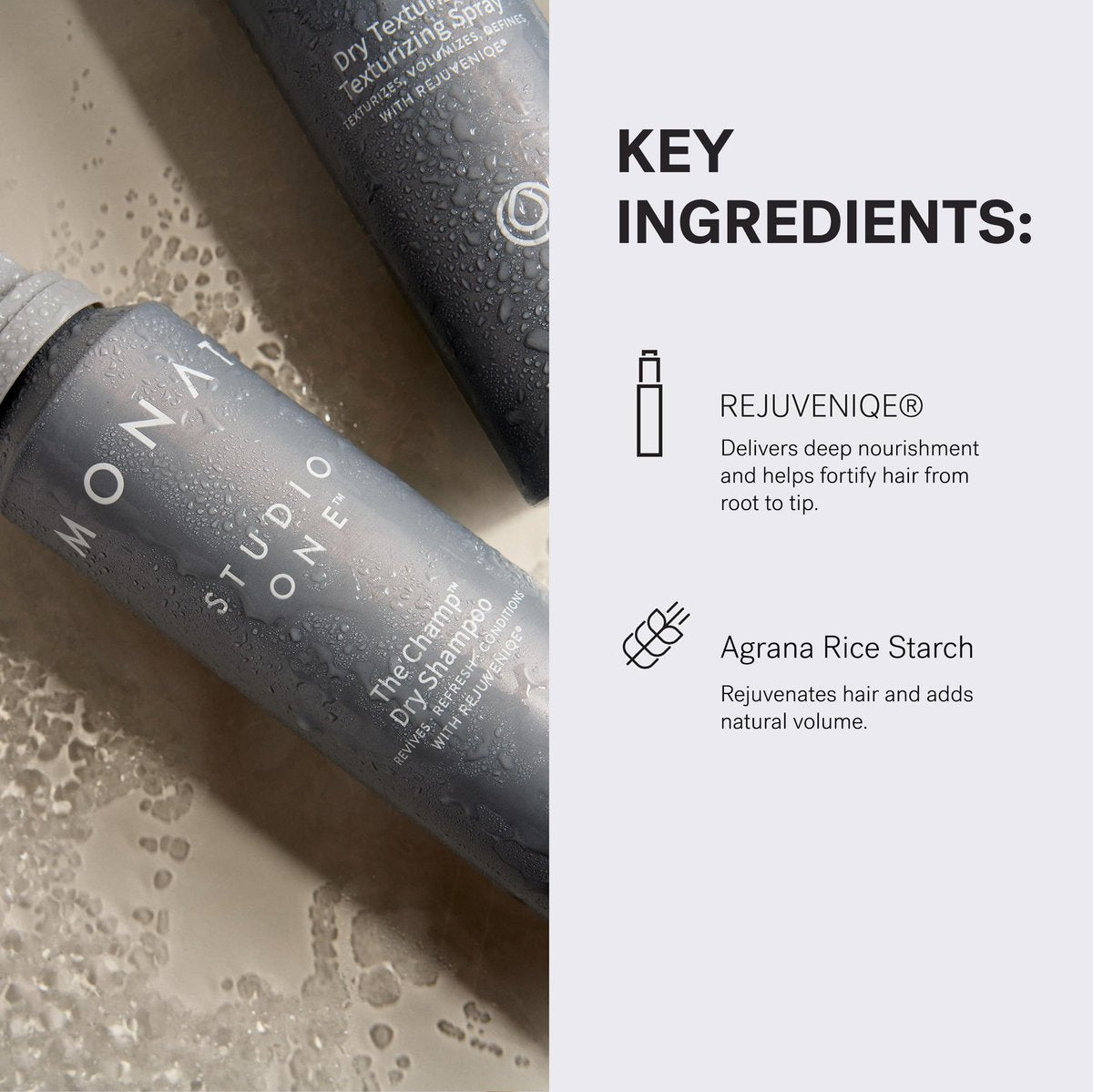 MONAT Studio One The Champ Conditioning Dry Shampoo – Waterless Shampoo for All Hair Types, Absorbs Oil & Dirt (4 oz) Avelisse