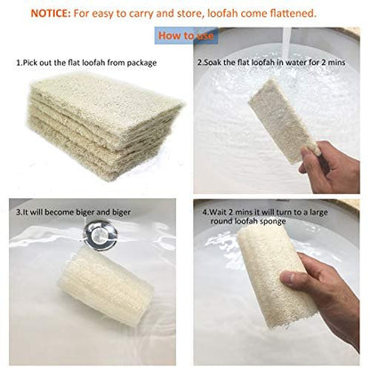 MAYMII·HOME 100% Natural Organic Loofahs - 6 Pack, Large 5-Inch Length, Exfoliating Body Scrubber for Spa-Quality Cleansing Avelisse
