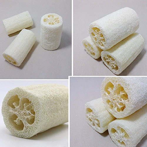 MAYMII·HOME 100% Natural Organic Loofahs - 6 Pack, Large 5-Inch Length, Exfoliating Body Scrubber for Spa-Quality Cleansing Avelisse