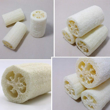 MAYMII·HOME 100% Natural Organic Loofahs - 6 Pack, Large 5-Inch Length, Exfoliating Body Scrubber for Spa-Quality Cleansing Avelisse