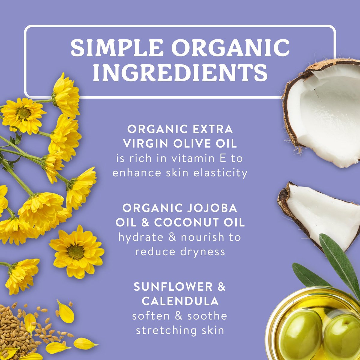 Badger Organic Pregnant Belly Oil - Jojoba & Coconut - 4 oz. | Stretch Mark Prevention & Skin Nourishment Avelisse