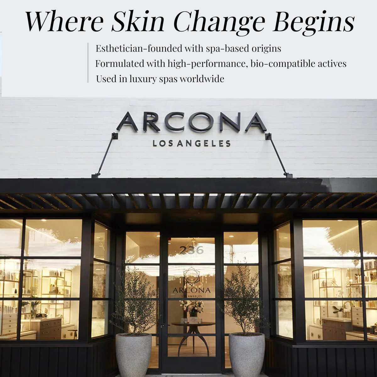 ARCONA Cranberry Gommage Purifying Face Scrub – Natural Exfoliator for Brightening and Unclogging Pores with Zeolite and Blueberry, 3.4 oz Avelisse