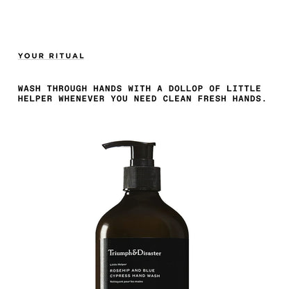 TRIUMPH & DISASTER Little Helper Hand Wash – Gentle Hand Soap for Men & Women, 16.9 fl oz