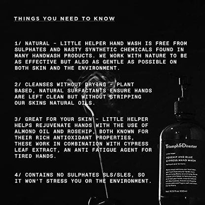 TRIUMPH & DISASTER Little Helper Hand Wash – Gentle Hand Soap for Men & Women, 16.9 fl oz
