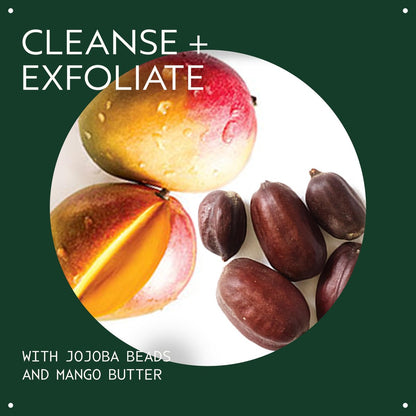 Aveda Botanical Kinetics Exfoliating Creme Cleanser - 5 Fl Oz | Gentle Exfoliation with Mango Butter for Radiant Skin Avelisse