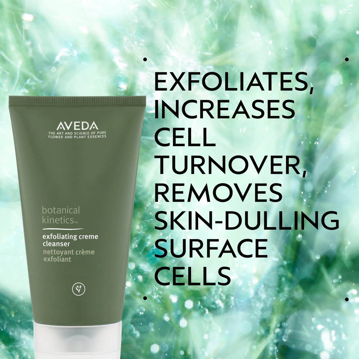 Aveda Botanical Kinetics Exfoliating Creme Cleanser - 5 Fl Oz | Gentle Exfoliation with Mango Butter for Radiant Skin Avelisse