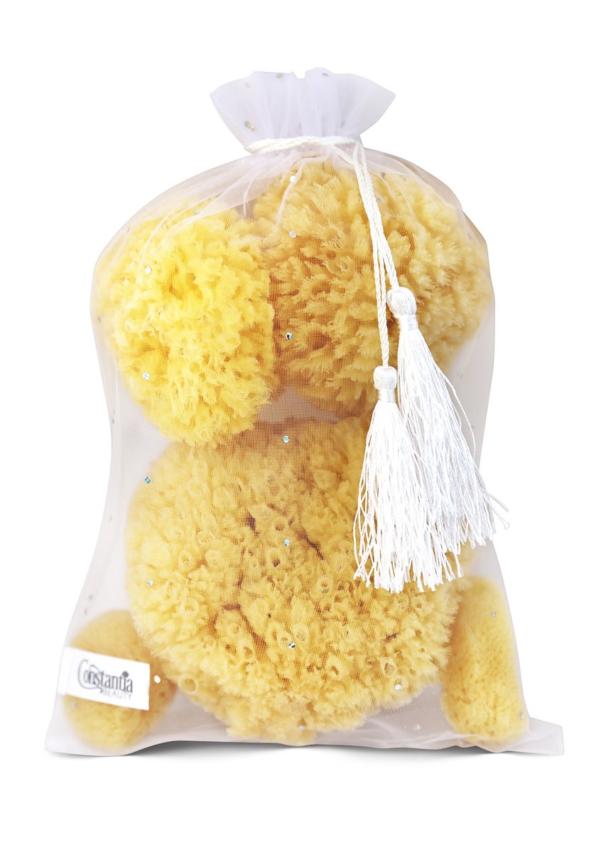 Real Natural Sea Sponges Multipack – 5pc Spa Gift Set in Premium Bag, Kind on Skin, for Bath Shower Facial Cleansing, Pamper Moms Brides Girlfriends & Teens (5 Pack Standard Packaging) - görsel 5