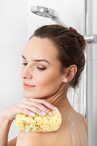 Real Natural Sea Sponges Multipack – 5pc Spa Gift Set in Premium Bag, Kind on Skin, for Bath Shower Facial Cleansing, Pamper Moms Brides Girlfriends & Teens (5 Pack Standard Packaging)