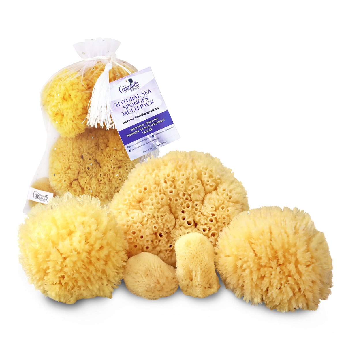 Real Natural Sea Sponges Multipack – 5pc Spa Gift Set in Premium Bag, Kind on Skin, for Bath Shower Facial Cleansing, Pamper Moms Brides Girlfriends & Teens (5 Pack Standard Packaging) - görsel 1