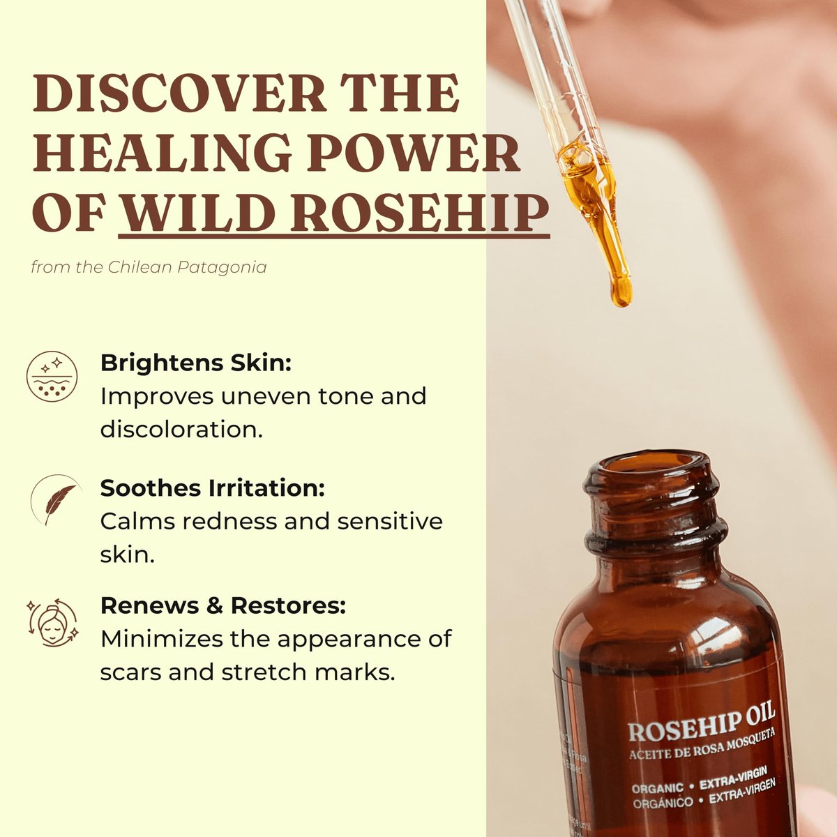 Offernova Organic Rosa de Mosqueta Oil - USDA Certified Rosehip Seed Oil, Cold Pressed, 1 oz Avelisse
